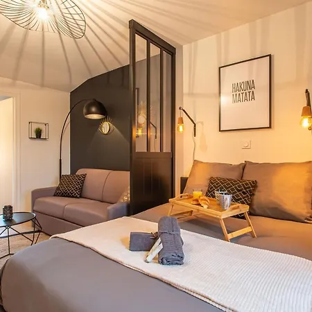 Mon Loft Niortais - L'elton Apartamento *